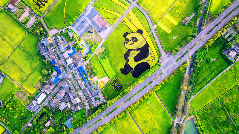 国際ニュース：中国の若者はどう教育され飢餓と闘っているのか