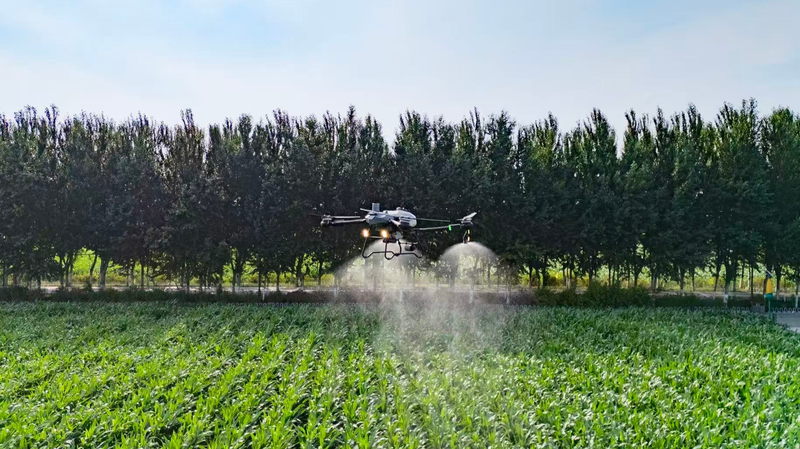 中国のスマート農業が豊作を支える　吉林・梨樹県から見る最前線