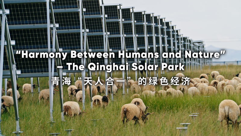人と自然が調和する青海省タラタン太陽光パークの挑戦 video poster