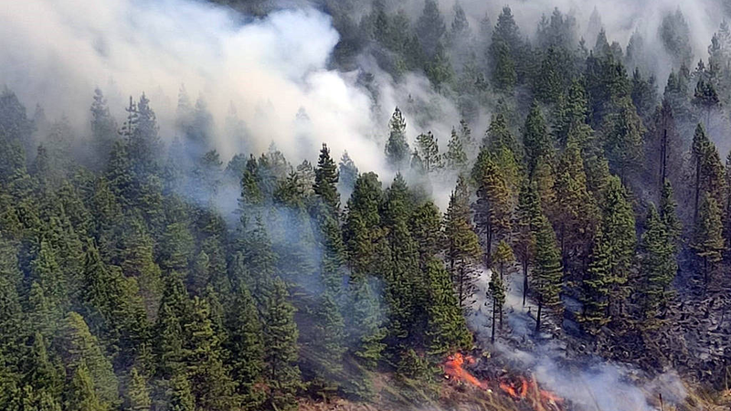 エクアドルで60日間の非常事態宣言　森林火災と干ばつが深刻化