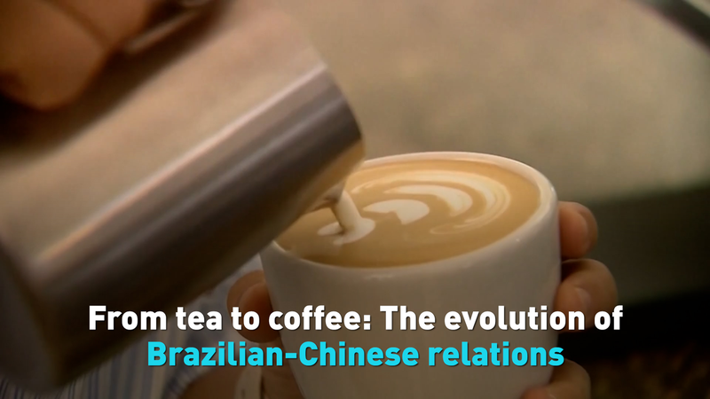 中国・ブラジル関係の始まり：1812年の茶栽培から続くつながり video poster