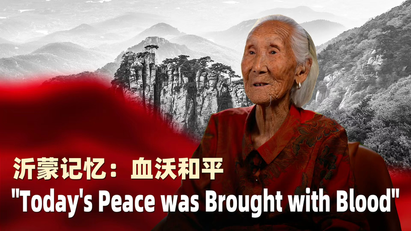 「血で守られた平和」を語る96歳　Yimeng Mountainの戦争体験 video poster