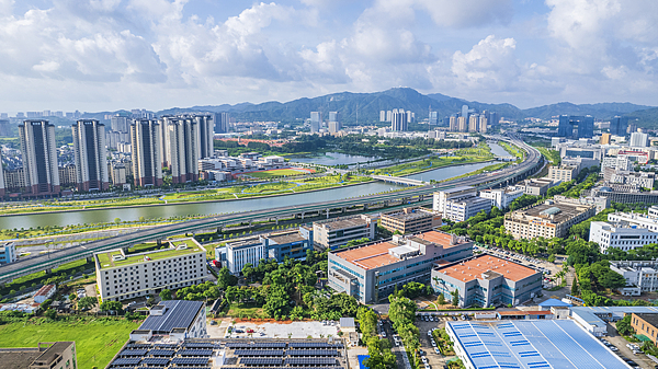 中国経済の下半期方針を協議　CPCが各界と意見交換、習近平氏が安定と前進を強調