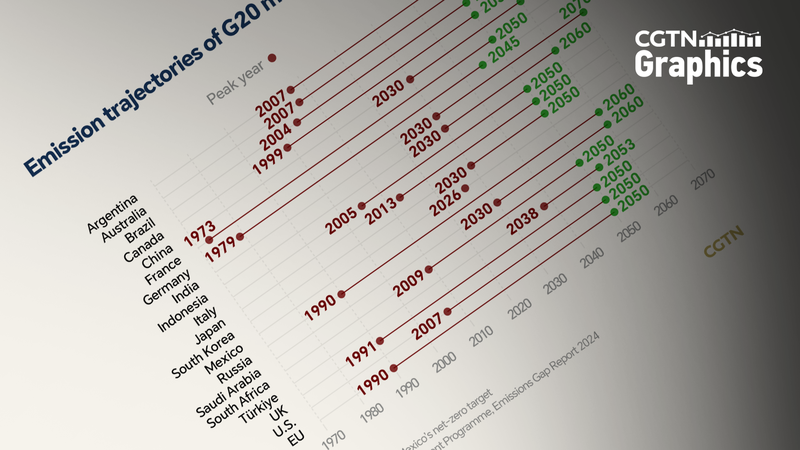 G20のエネルギー転換とネットゼロ約束　世界排出の8割を握る重み