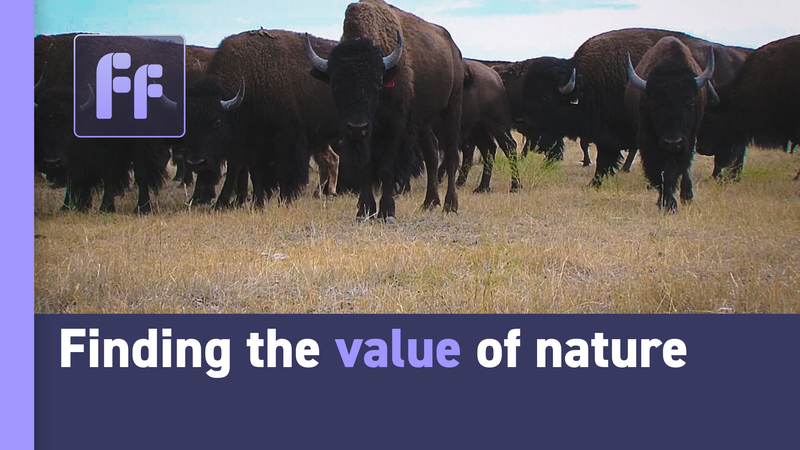 クジラは「カーボンキャプチャ装置」？自然の価値をお金で考える video poster