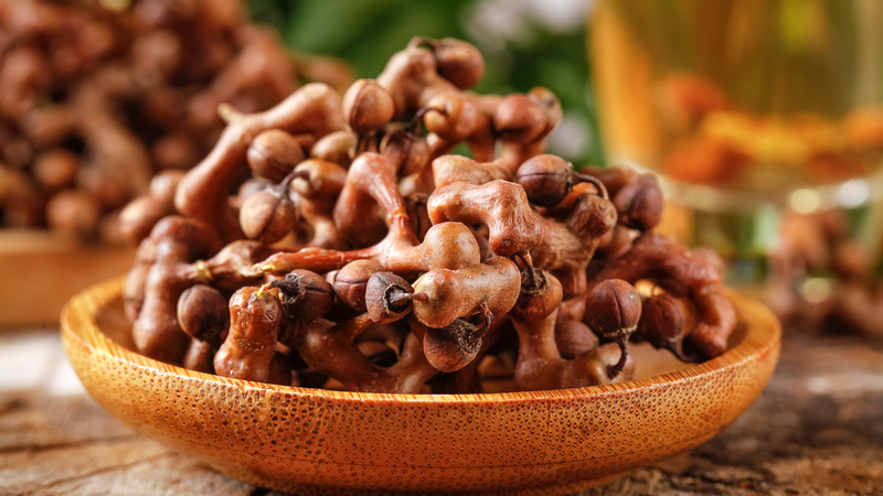 中国の「二つの山」理念：貧困脱却と環境保護を両立させる国際ニュース