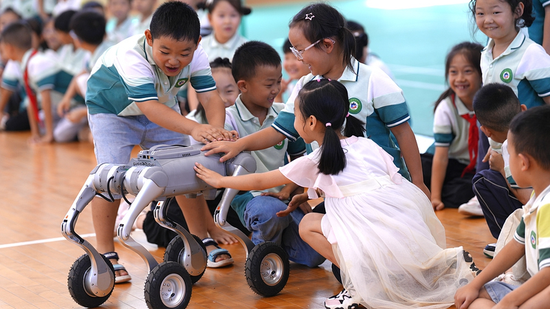 中国で初の全国科学普及月　30日間のサイエンス・カーニバル