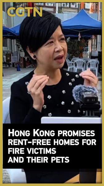 香港で大規模火災　被災者とペットに家賃無料住宅 video poster