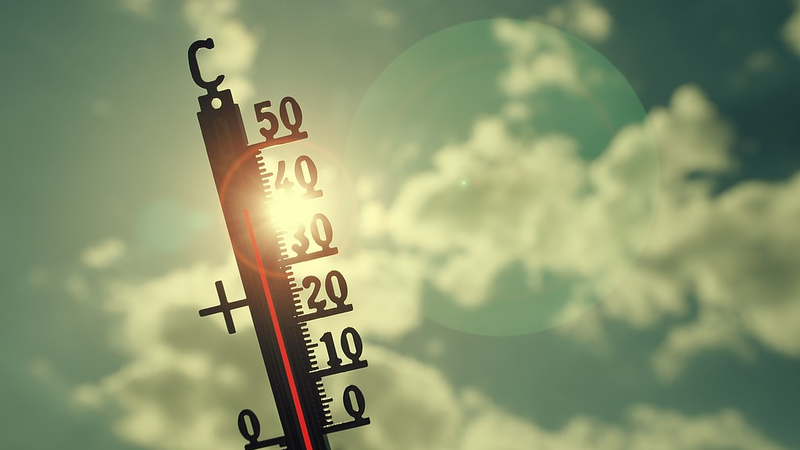 世界で9月が観測史上3番目の高温に　海も氷も「平年」と違う2025年