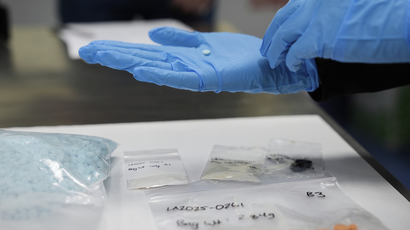 米国で深刻化する薬物エピデミック　社会の織り目に入り込む依存問題