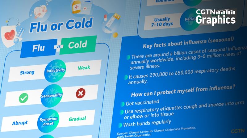 世界で広がるインフルエンザ：いま知っておきたい基礎知識