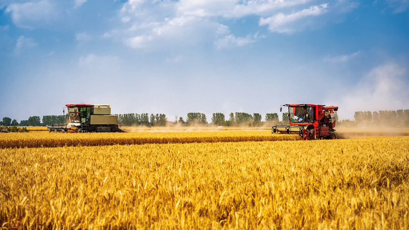 中国、「耕地レッドライン」を堅持　農地保護と環境配慮を強化