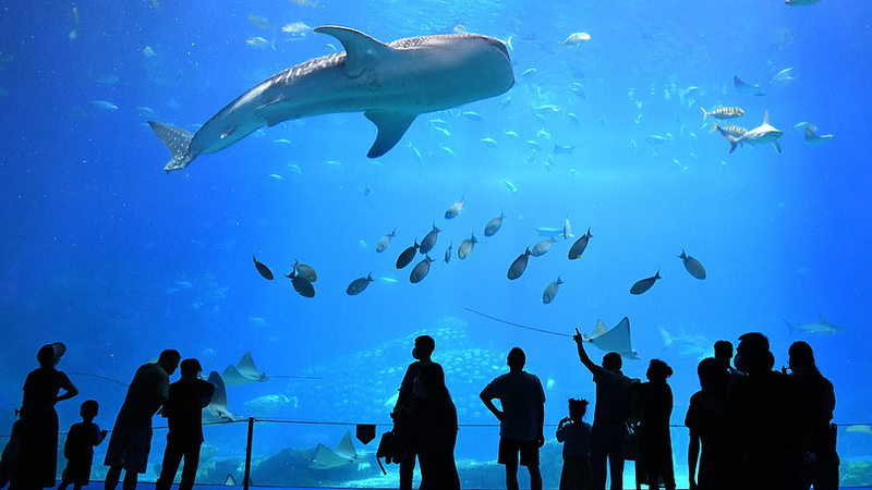 マカオのすぐ向こう側へ：横琴島を知るための国際ニュース解説
