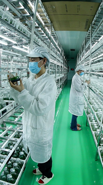 中国「中央一号文件」で農業の新たな生産力強化へ video poster