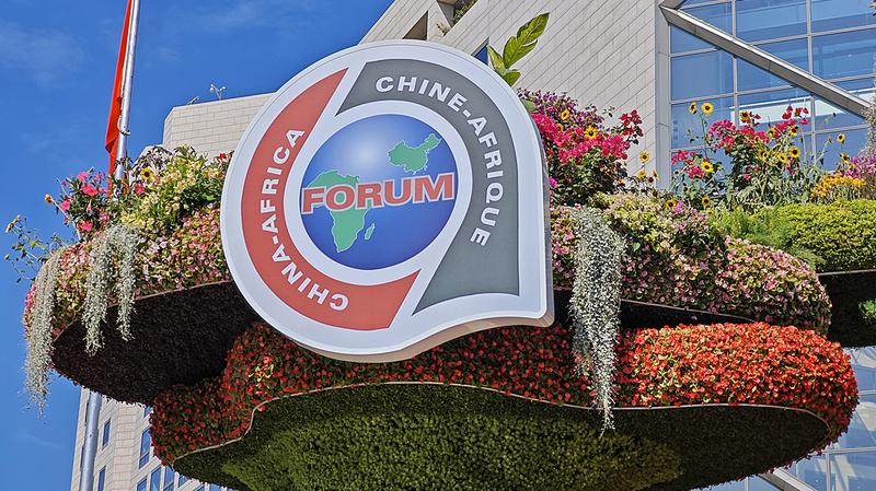 中国とアフリカ53か国が長沙に集結 FOCAC北京サミット成果の実行を加速