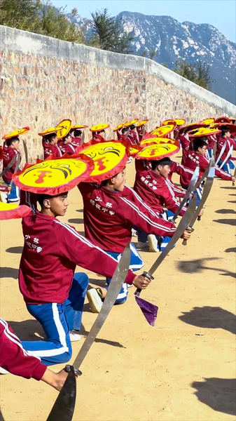 河南省登封の武術学校で育つ10代　拳で鍛えるのは体か、それとも心か video poster