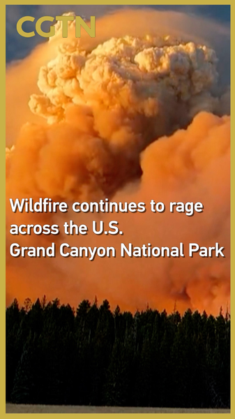 米グランドキャニオン国立公園で大規模山火事　ドラゴン・ブラボー火災が拡大 video poster