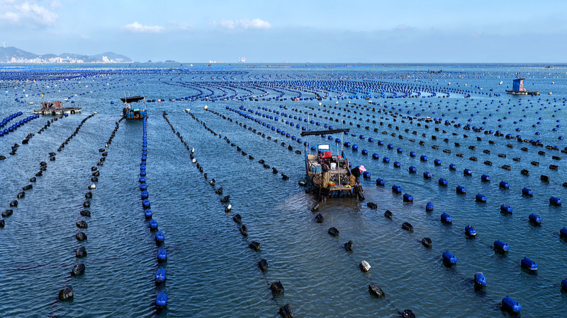 中国の海事司法制度、世界で最も包括的と報告 40年で急拡大