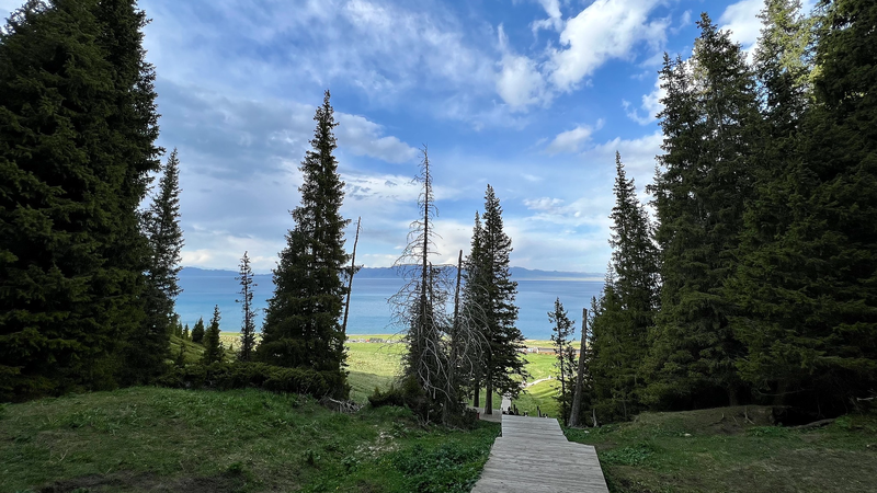 新疆サイルム湖「ソンシュトウ」の絶景　雲海とトウヒ林のライブ風景 video poster