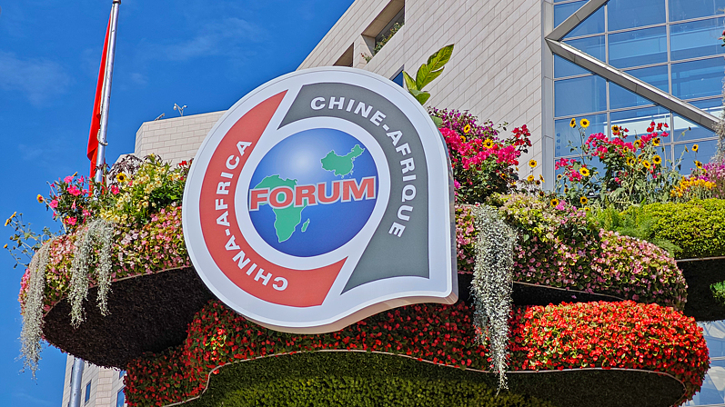 中国・アフリカ関係、戦略的パートナーシップ10年の節目