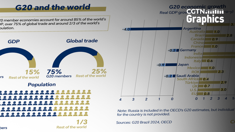 G20リオサミットから考える：世界の中のG20の位置づけとは