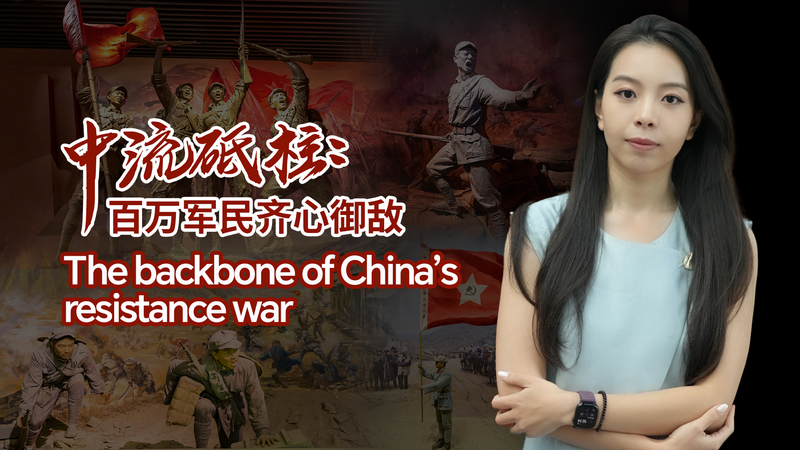知られざる中国抗日戦争：背骨となった共産党軍の素顔 video poster