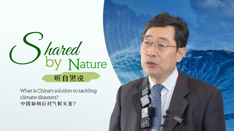 中国発の新たな海洋気候予測システム「OCEANUS」とは　気候災害にどう備えるか video poster