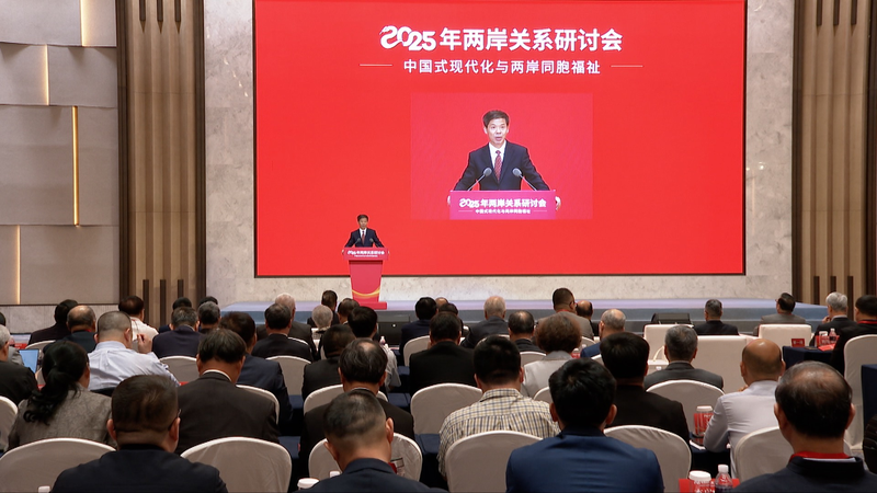 中国の現代化は台湾同胞を含む　上海で両岸セミナー video poster