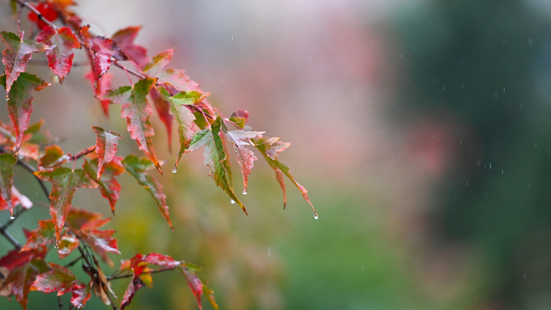 中国で大雨・強風の気象警報　複数地域と海域で注意呼びかけ
