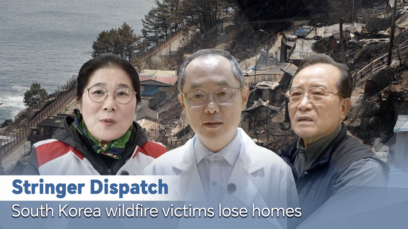韓国で史上最悪の山火事被害　家を失った人びとの声 video poster