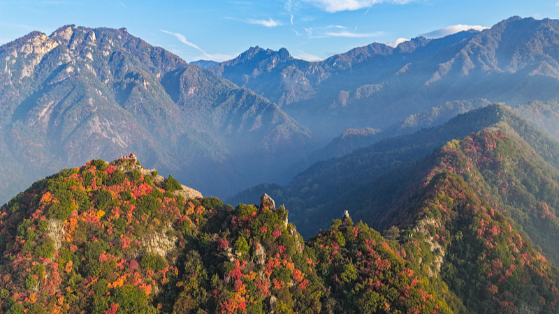 中国ニュース：秦嶺のCuihua Mountain、ライブ映像で楽しむ「天然の酸素バー」 video poster