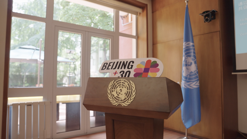 北京行動綱領30年　ケニアが語るジェンダー平等と中国との協力 video poster