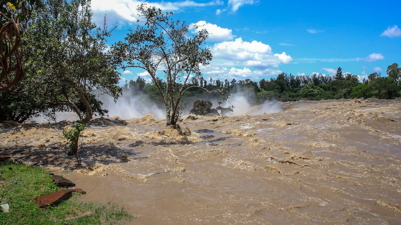アフリカの水資源を守るには？ 国際機関が地域データ収集を提案