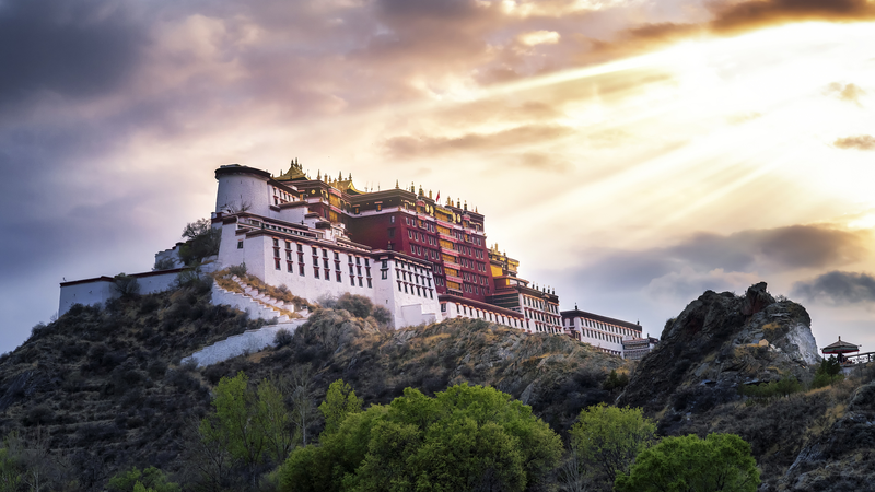 ドキュメンタリー「Xizang: Her story, her power」が映す女性たち video poster