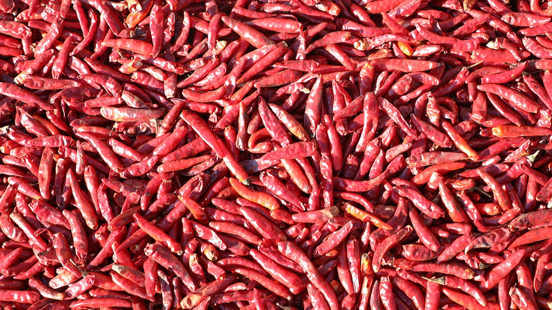 中国の人工舌が辛さを数値化　食品産業を変える新技術