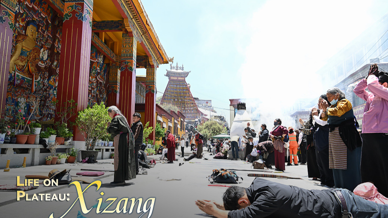 「世界の屋根」西蔵を歩く　急増する観光と仏教文化のいま