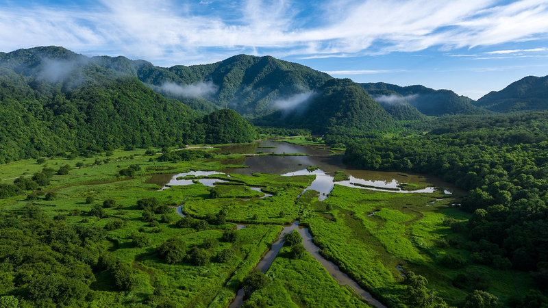 世界湿地の日に考える：神農架・大九湖のコケが支える2万年の湿地 video poster