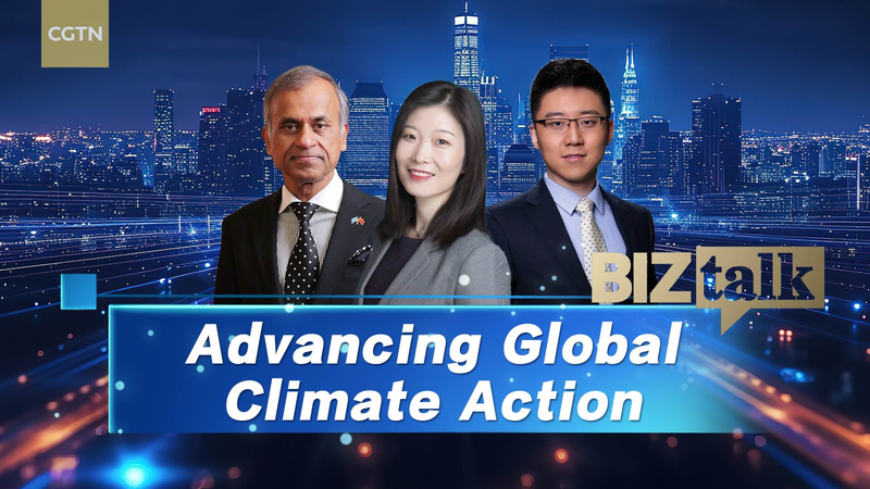 中国初のエネルギー法とCOP29：BizTalkが見た気候ファイナンスの未来 video poster