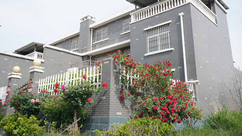 黄河沿いの馬渡村、中国の農村振興と文化保存のいま