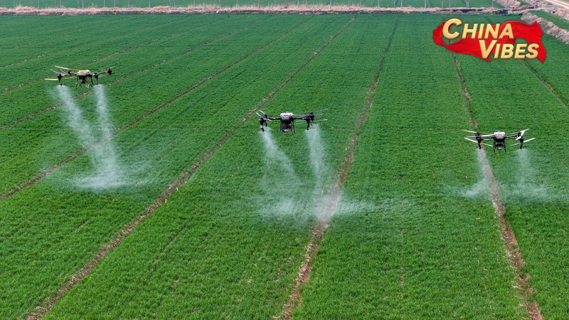 中国の2025年中央一号文件　農村改革と農業強国へのロードマップ