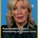 ロシア外務省、日本の「歴史の美化」を批判　第二次大戦の認識めぐり応酬 video poster