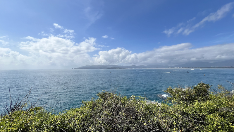 2024年の自然科学ブレイクスルー：古代生物と地球外生命に迫る発見