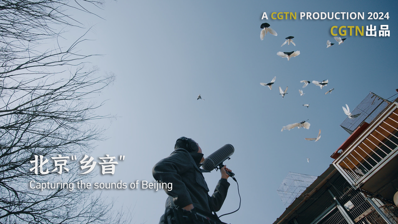 北京の音を記録するサウンドアーティストと鳩笛職人の物語 video poster