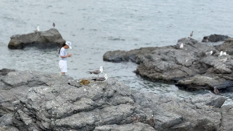 中国の海洋経済が2025年上半期に5.8％成長　資源開発と造船がけん引