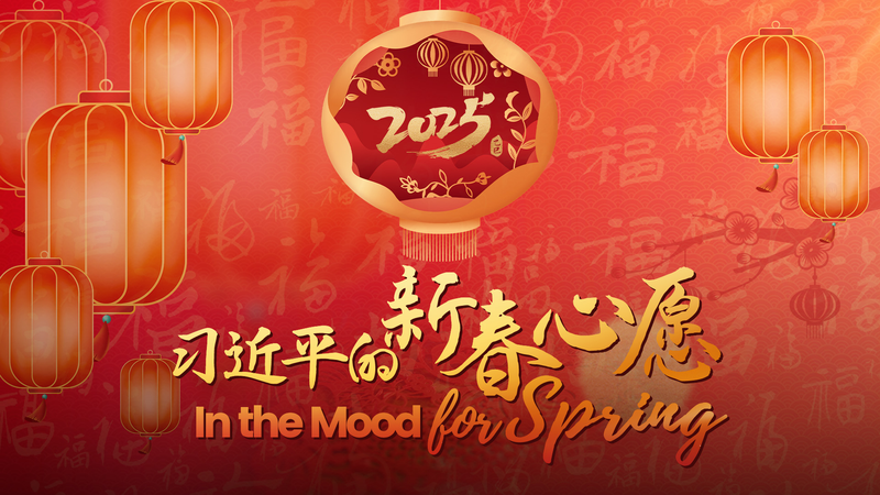 春節の楽しみ方 中国の文化と家族をつなぐ物語 video poster