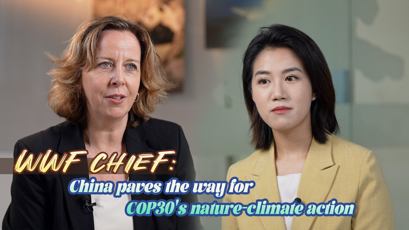 WWFトップが語る：中国、COP30で「自然と気候」統合のカギに video poster