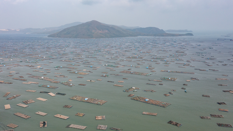 ベトナム南中部で50年ぶりの記録的洪水　背景とリスクを解説