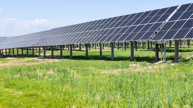 砂漠化地帯が「グリーンエネルギー谷」に　中国内モンゴルの新エネ転換