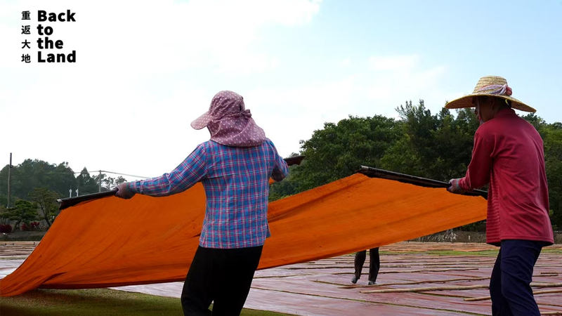 大地に描く布のアート：ガンビアード広東ガーゼとは？