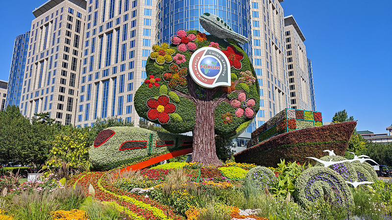 中国外相「アフリカの近代化なくして世界の近代化なし」 video poster